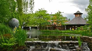Zen Garden Bliss | Soothing Japanese Nature Sounds for Stress Relief