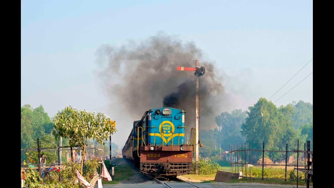 Sanctuary Express