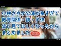 小林さやか公演、良すぎて、教育関係者、親、皆に見てほしすぎるまとめ。
