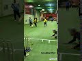 Indoor cricket  fielding  direct hit