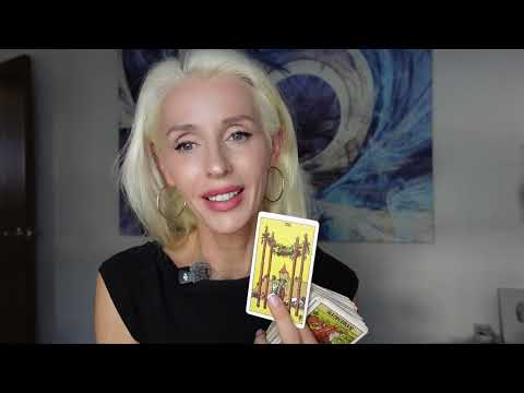Cocoyogi's Fall From Grace: The Leak Explains Why