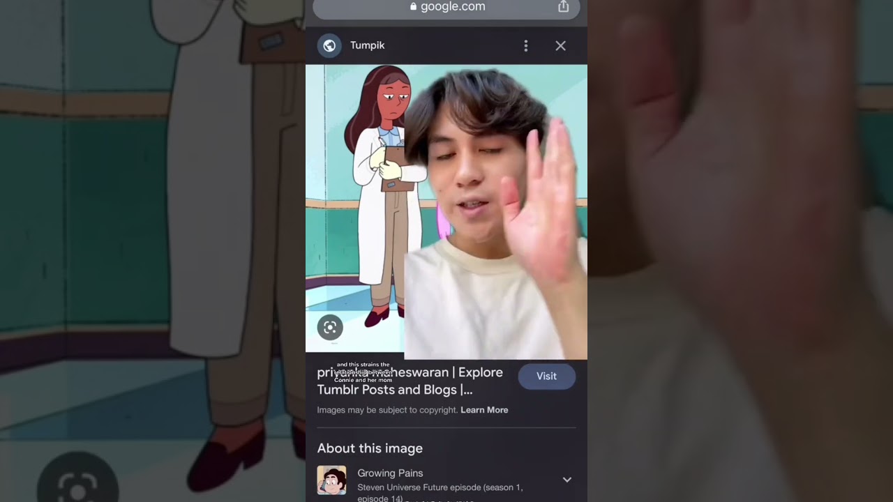 Asian representation in Steven Universe 