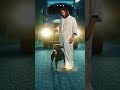 Jesus Saves a Stray Dog From Oncoming Truck 🙏✨ #Faith #Miracle #JesusLovesYou