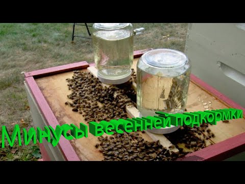 Профессор Кашковский про