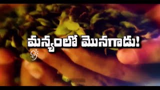 Grape Cultivation - Eruvaka - 22-11-2014 - 99tv