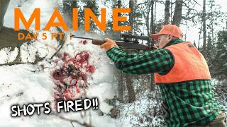 The Big Woods Adventure: Day 5 part 1 of Tracking Maine's Monster Bucks on Snow! (Deer camp series) 
