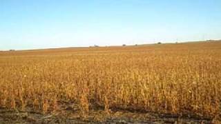 Clear_Lake_Iowa.mp4