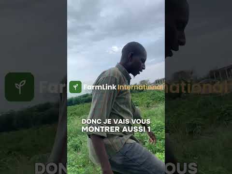 Visite guidée d’une exploitation agricole à Thies #agriculture 