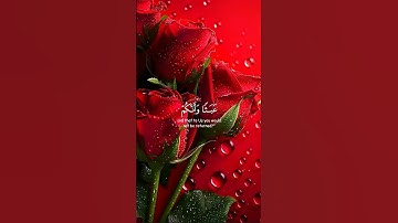 #تلاوات_خاشعة #قران_كريم #راحه_وطمأنينه_للقلب #تلاوات_خاشعة #اكسبلور 🥺