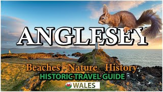 การผจญภัยของ Anglesey: ซากปรักหักพังโบราณ ชายหาด กระรอกแดง Anglesey ที่หายาก - นอร์ทเวลส์