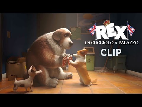 Rex - Un cucciolo a palazzo. Scena in italiano "L'allenamento"