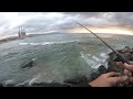 One seabass with IMAKATSU I-ROLLER (THE BEST LURE)