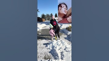 My Life in USA 😂 #funny #indian #shorts #snowday