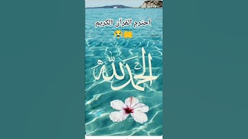احترم القرآن الكريم 😭🤲