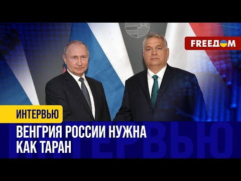 Смотреть: 2:58