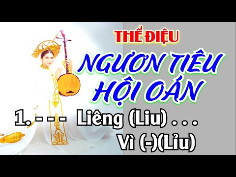 Video Thể điệu Ngươn tiêu hội oán 16 câu 