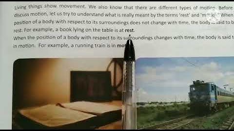 MLZS JHANSI CLASS 6 Science Chapter 10 Lecture 1