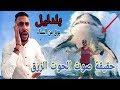 حقيقة صوت الحوت الازرق - وظهوره لاول مرا في الاسكندريه وليبيا ومعظم السواحل الشمالية😱