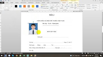 Cách Chèn ảnh vừa vào khung CV xin việc trong Word 2013, 2016