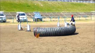 20140316 JPA 1