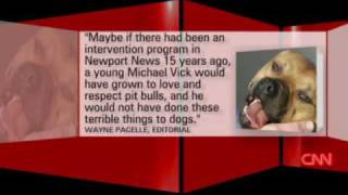 Michael Vick's new job
