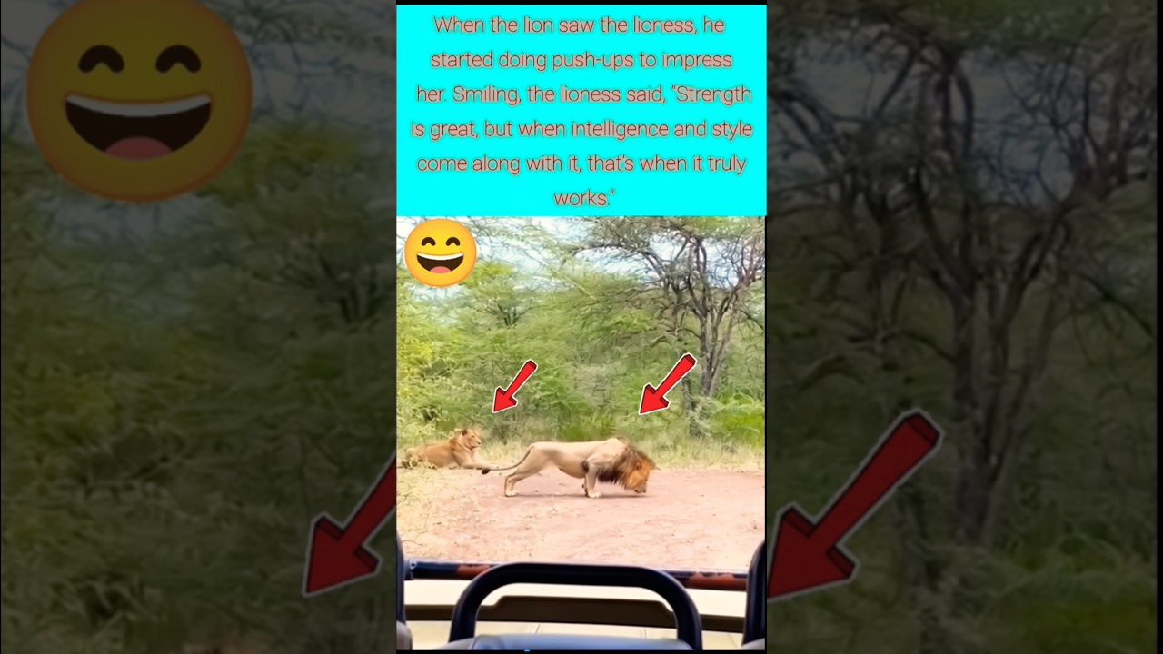 Brains, Brawn, and a Little Swagger 🦁