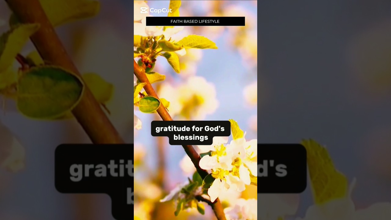 A prayer for Gratitude, Join me in  thanksgiving as we