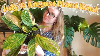 Houseplant Haul ♥ All The Indoor Plants I Got in July & August (& September Kindof hehe!)
