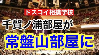 千賀ノ浦部屋 Youtube