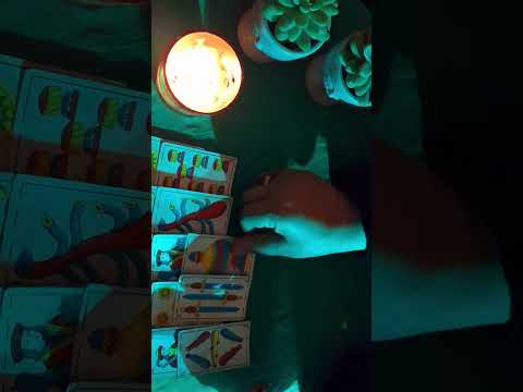 الهاتف 0628733469 قراءة جديدة البنت البيضاء الحنطية سمراء كارطة المغربية