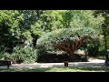 Portugal #travel #lisbon #portugal #jardim #nature #city #freedom #relaxing #relax
