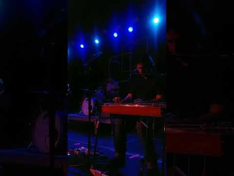 Pinegrove - 'Rings'