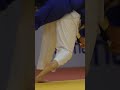 Judo judothrow judobrasiljapanese koreateamjudolife judocajudostylejud dewantk
