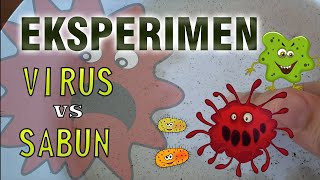 Kenapa kita harus cuci tangan dengan sabun? Percobaan Virus VS Sabun