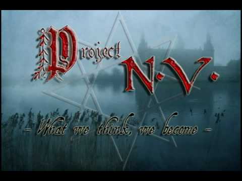Project N.V. - What We Think We Become