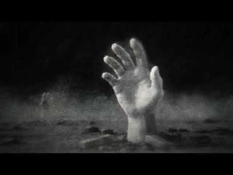 O.N.I - The Animal Inside