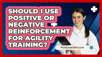 Should I Use Positive Or Negative Reinforcement For Agility Training? - PetGuide360.com