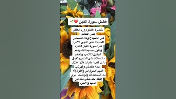 فضل سورة الفيل #الأممل