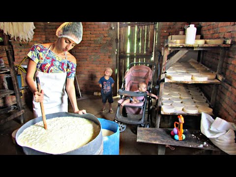 Vídeo: Como Dar Queijo A Uma Criança