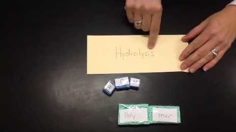 Dehydration Synthesis and Hydrolysis