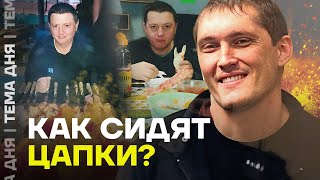 видео: Как сидят Цапки? Вова Беспредел поставил себе виниры за миллион картинка: Как сидят Цапки? Вова Беспредел поставил себе виниры за миллион