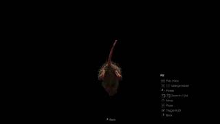 RE4 - Horizontally Spinning Rat