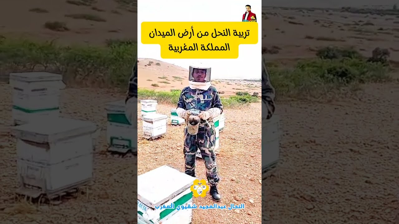 تربية النحل في المغرب 💯💯 الاستاذ عبدالمجيد شقيوي