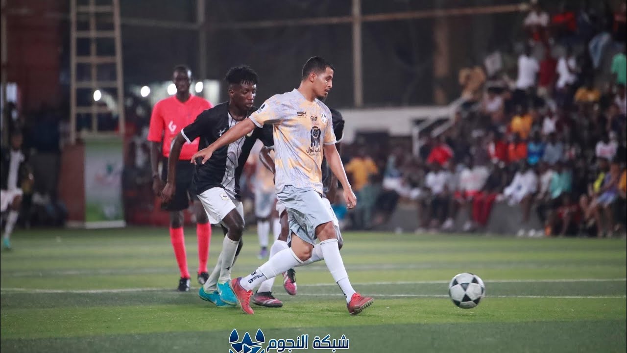 ملخص مباراة عصم ونمور النسيم | بطولة غليلي الكبرى