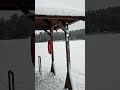 Frozen Lake Panorama ASMR | Raven Calls &amp; Snowy Pier Walk #winterwalk #nature #frozenlake #asmr