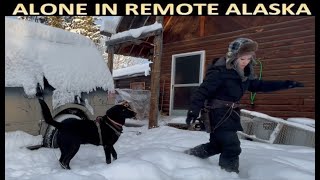 Preparing for the Arctic Blast in a Remote Alaska Cabin as Seen Through a Dog's Eyes