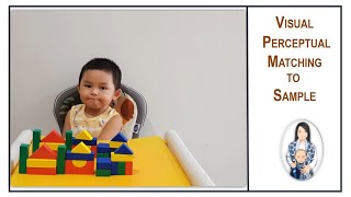 Visual Perceptual Matching to Sample 3D
