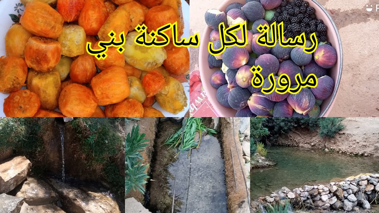 تحية وتقدير لساكنة بني مرورة / دار الحمراء👍 وقصيدة رائعة للسيد إدريس الطويل  💥💥💥