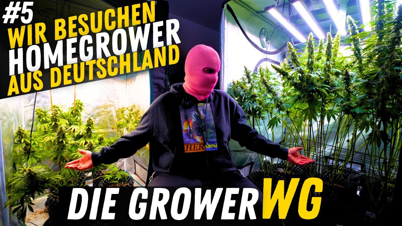 Wir besuchen Grower in ganz Deutschland Heute mit George und die Grower WG Folge 5