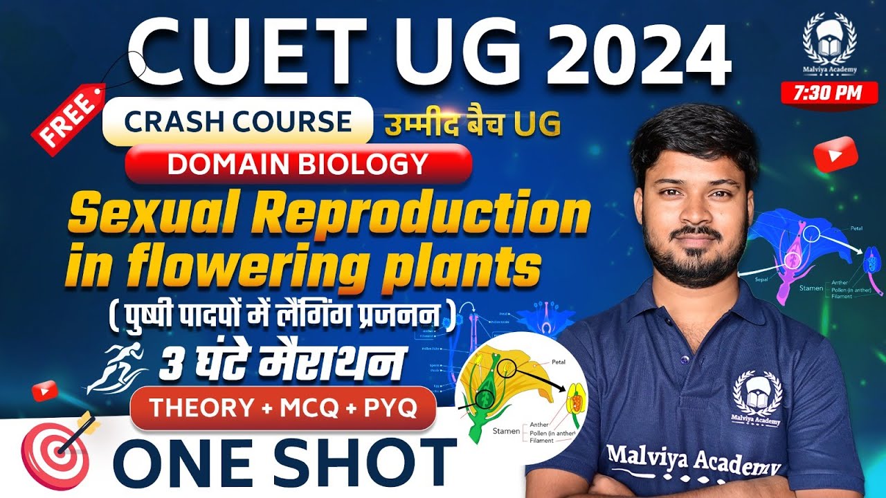 Sexual Reproduction in flowering plants One Shot (Theory+MCQ)|CUET 2024 ...